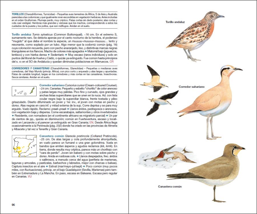 Aves de España sample page